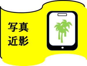 素材配布　写真　近影